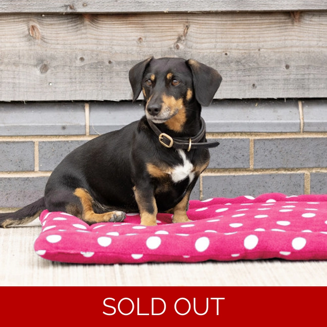 product Image for Supreme Products Dotty Fleece Dog Bed Paradise Pink